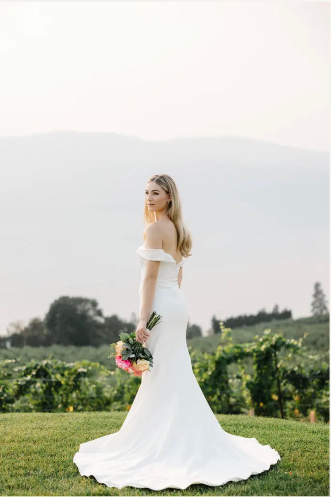New Dress: 3601 Lillian Wild “Laura” Waist: 36