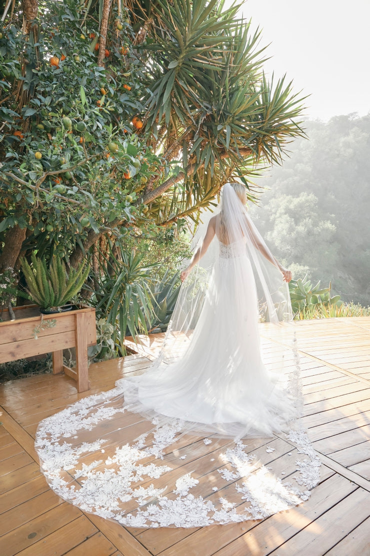 Dress: 2703 Beloved by Casablanca "Abigail" Waist: 27