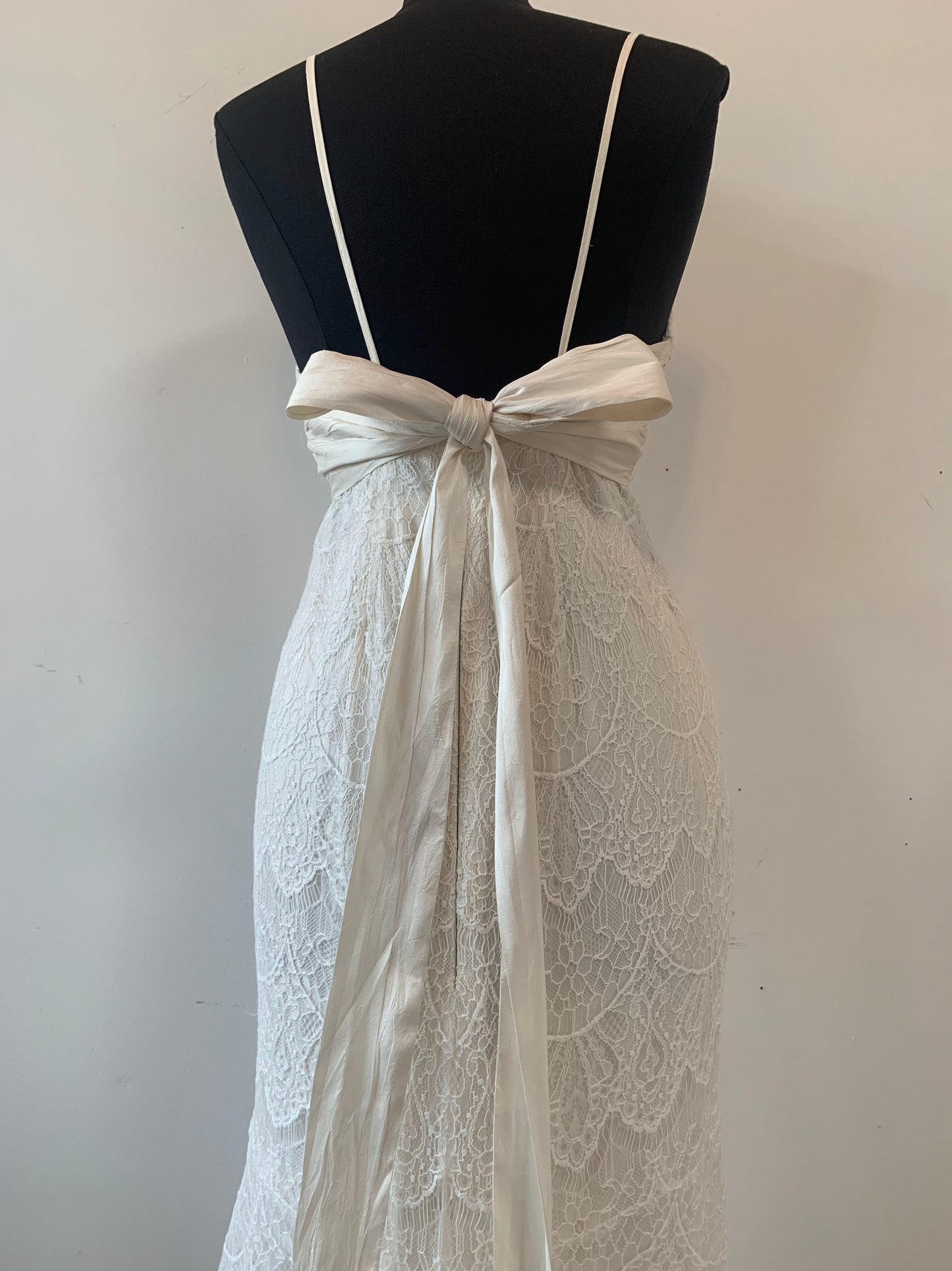 Dress 2910: Anna Campbell + EcoChic Bridal "Ruby" waist 29