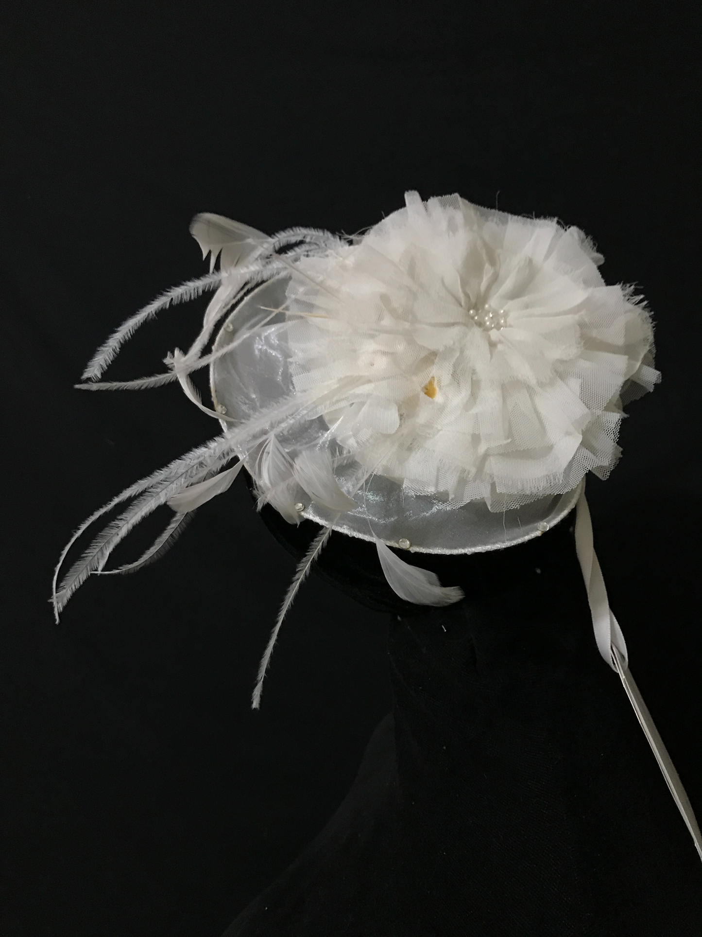 Birdcage 53: Net with Crystals and Tulle Flowers