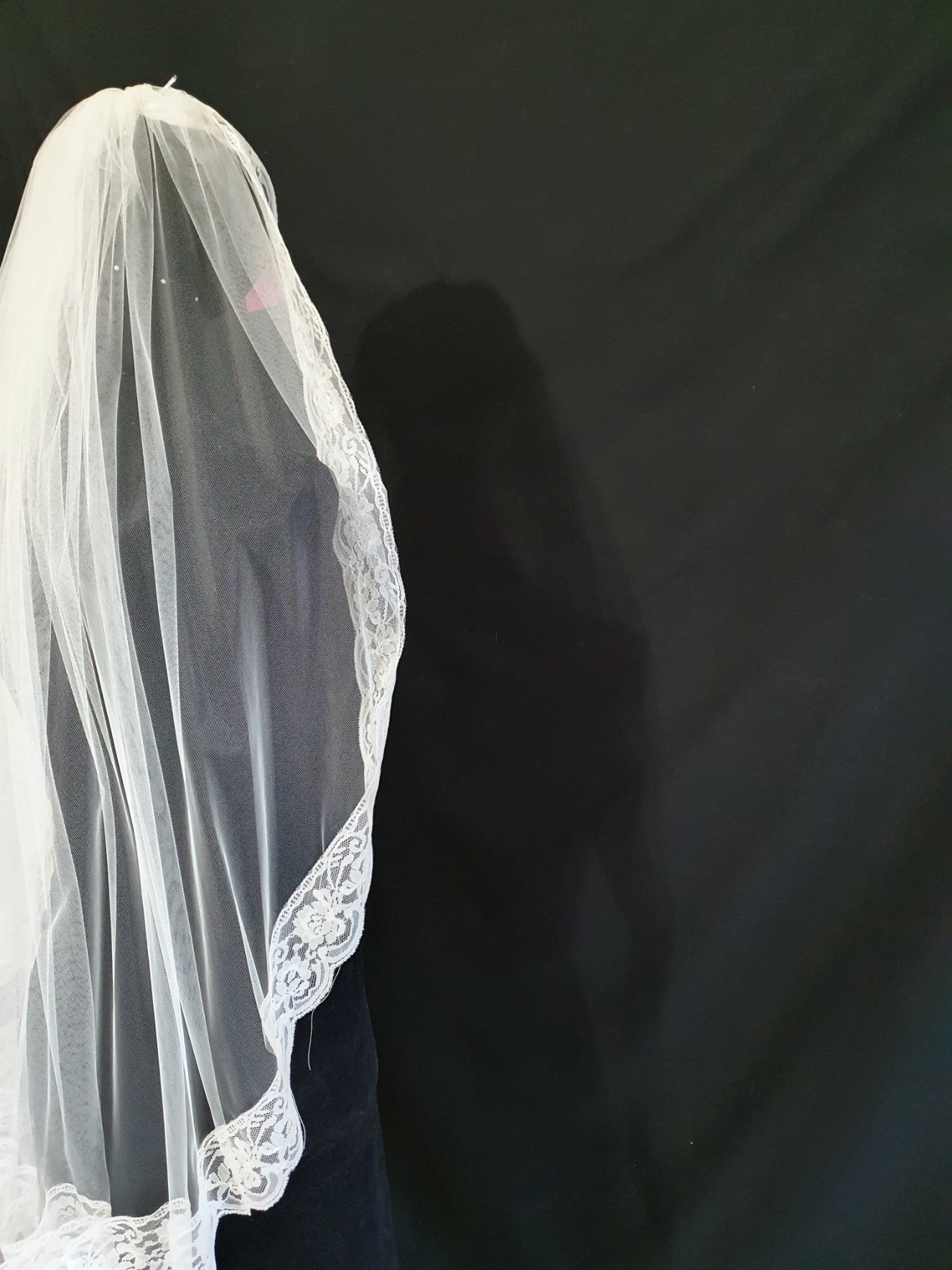 Veil 130lace c: Fingertip length with Lace trim