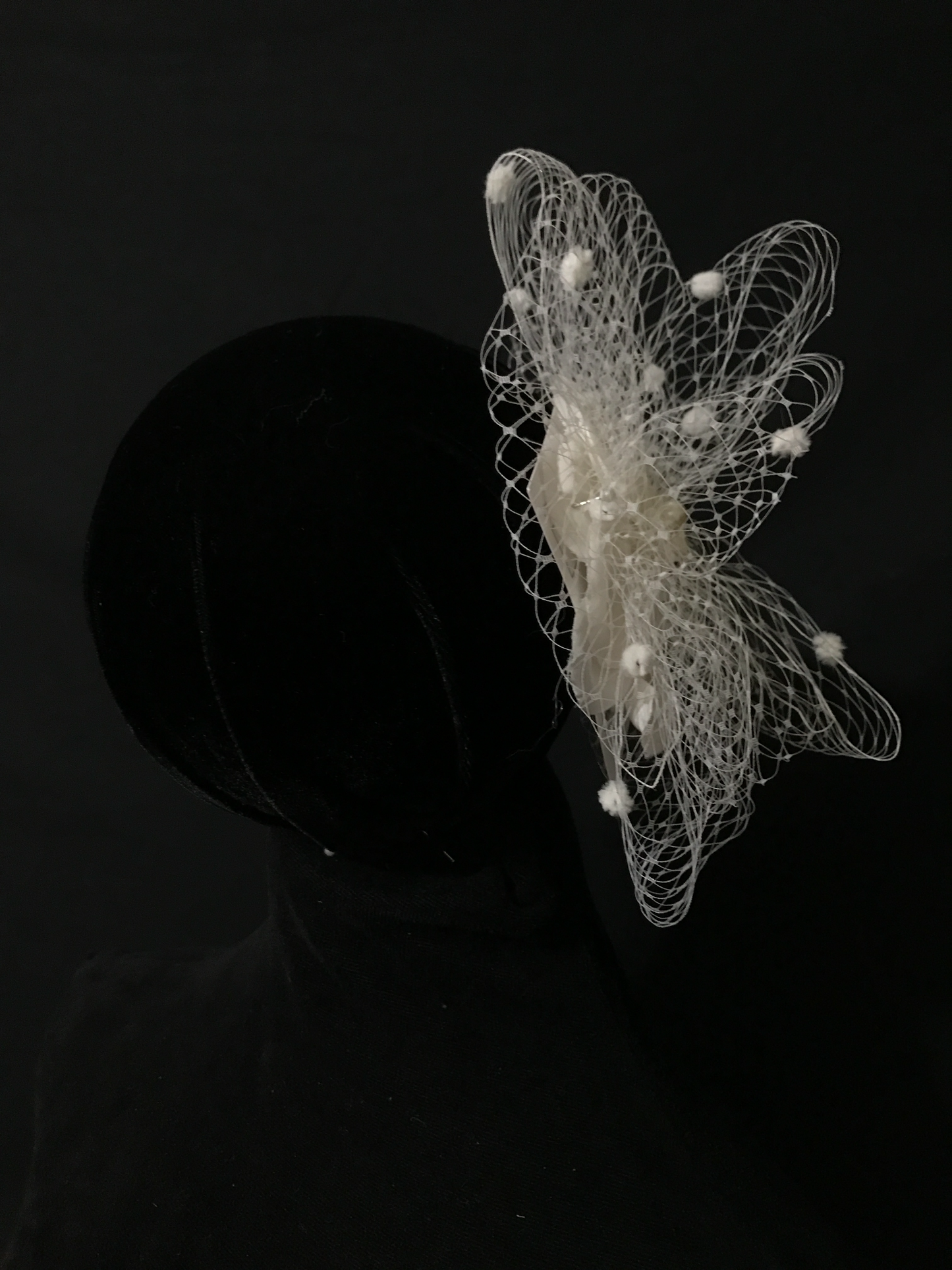 Birdcage 56: Net with Petals