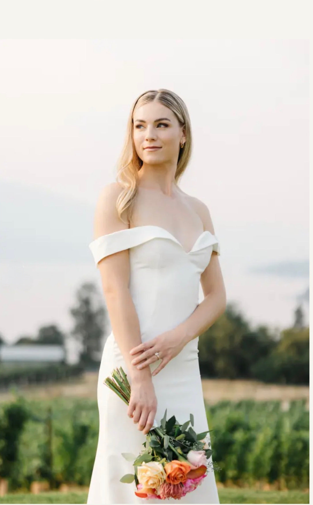 New Dress: 3601 Lillian Wild “Laura” Waist: 36