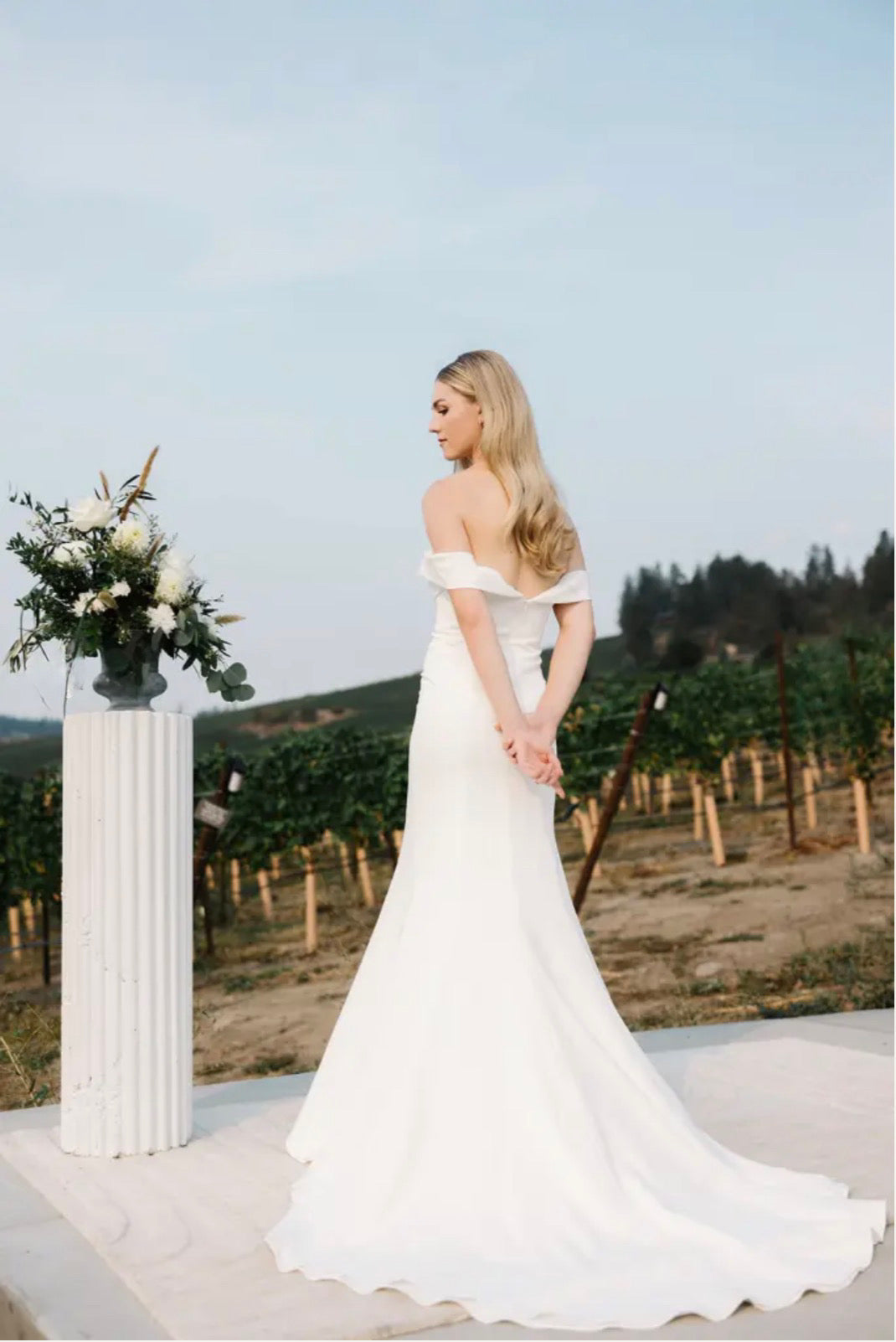 New Dress: 3601 Lillian Wild “Laura” Waist: 36
