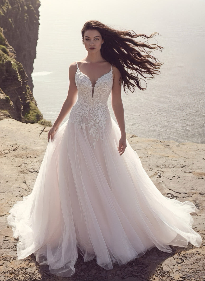 New Dress: 1090 Rebecca Ingram “Cassidy” Waist: 49