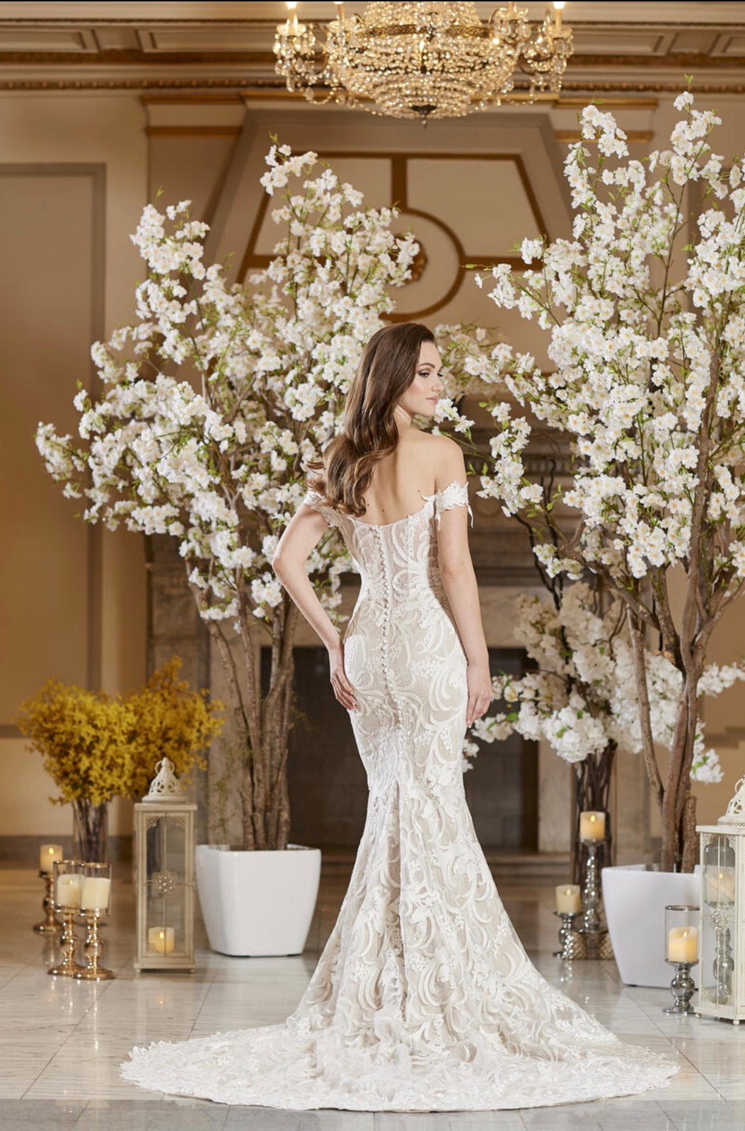 Dress: 3032 Icon by Alexander “Cameron” Waist: 30
